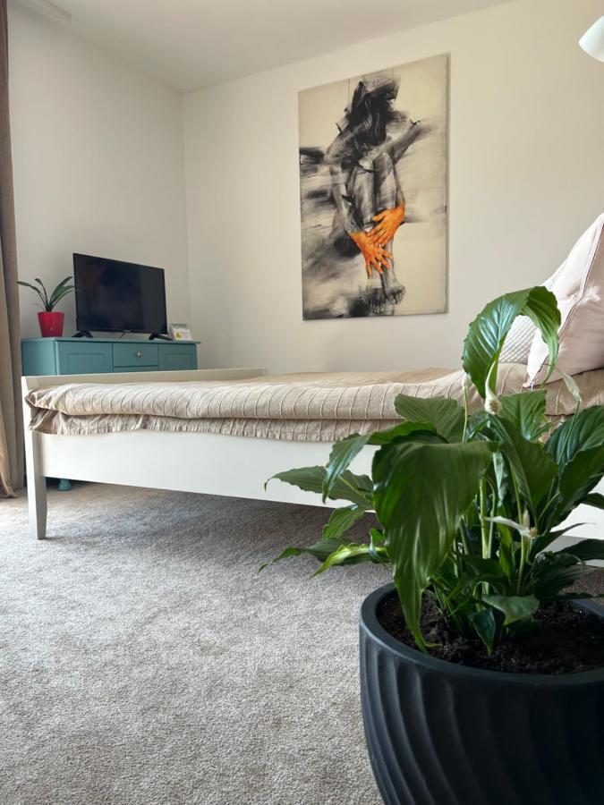 Apartliv Vel'ka Lomnica Buitenkant foto
